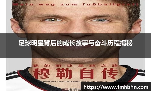韦德bevictor